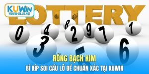 Rồng Bạch Kim - Bí Kíp Soi Cầu Lô Đề Chuẩn Xác Tại KUWIN